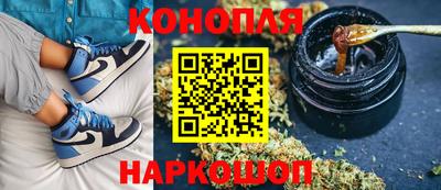 индика Жуковский