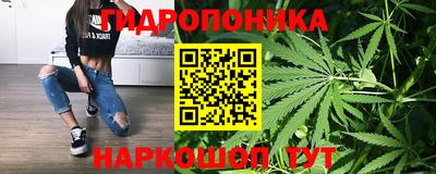 индика Жуковский
