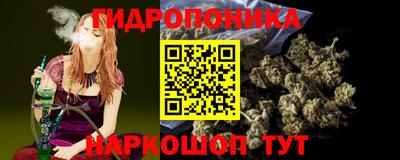 молекула духа Заводоуковск