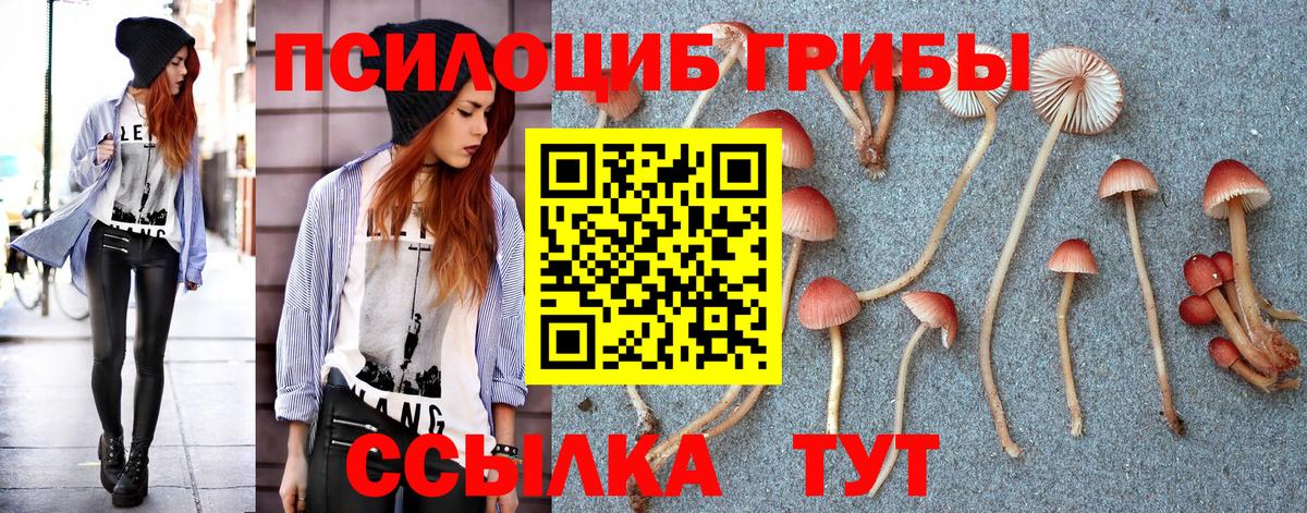 Кунгур  Галлюциногенные грибы Magic Shrooms  Вход с VPN 